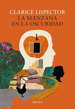Nº5